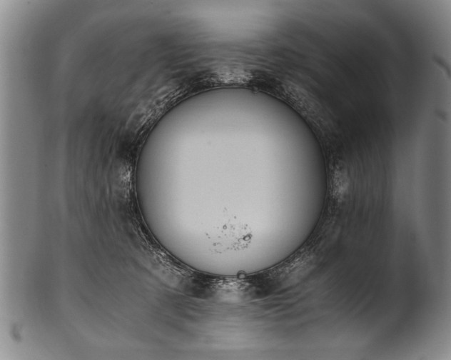 X0000101110321200806261418