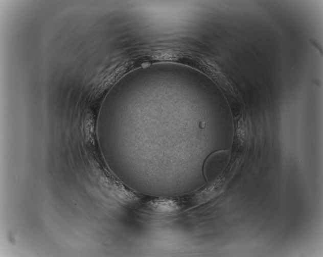 X0000101110322200806261418