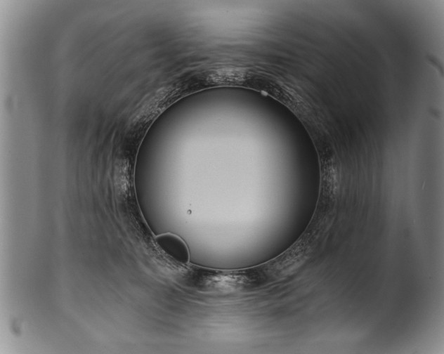 X0000101110323200806261418