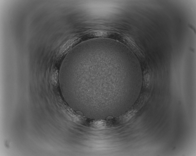 X0000101110325200806261418