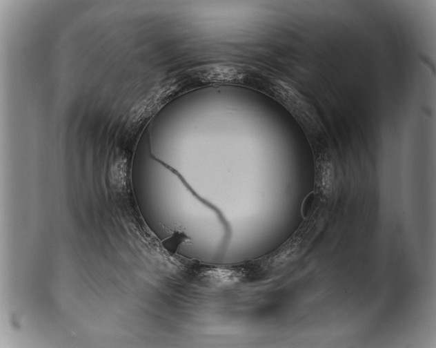 X0000101110326200806261418