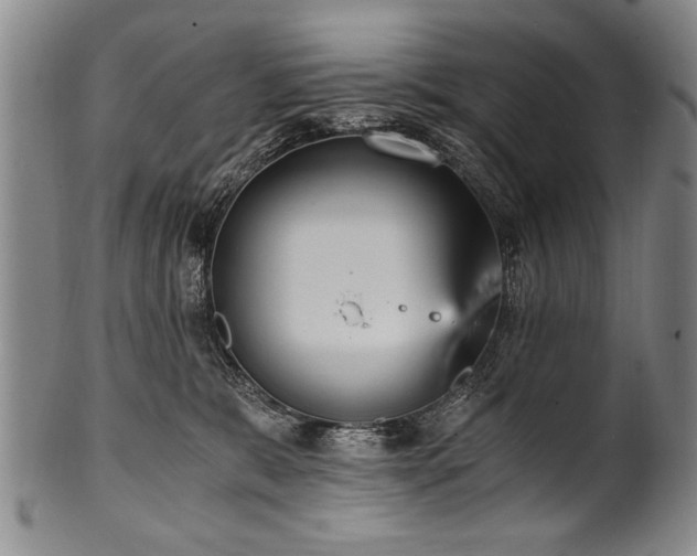 X0000101110327200806261418