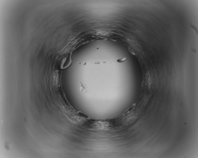 X0000101110328200806261418