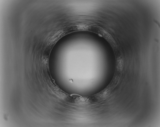 X0000101110329200806261418