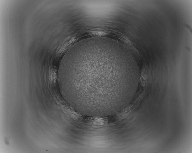 X0000101110330200806261418