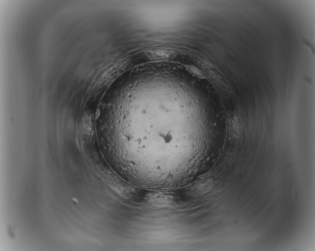 X0000101110331200806261418