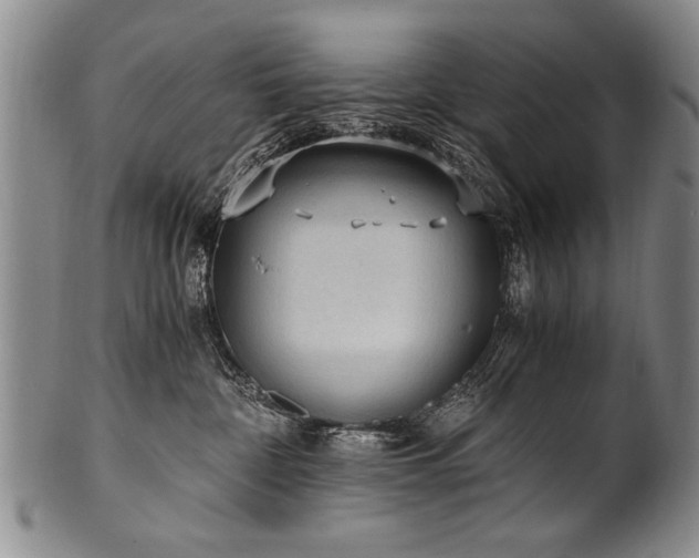 X0000101110332200806261418