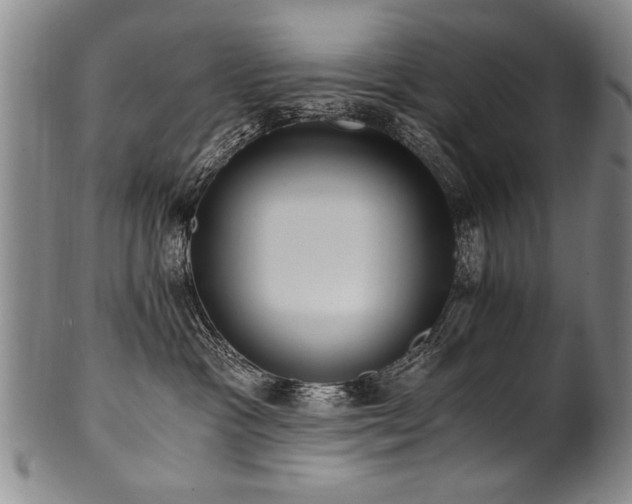 X0000101110333200806261418
