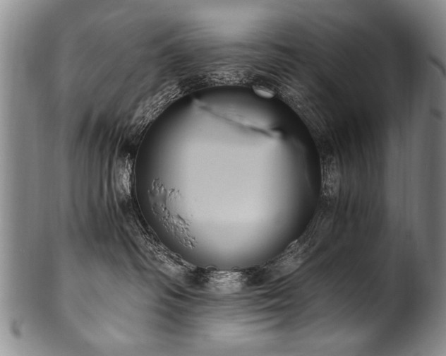 X0000101110334200806261418