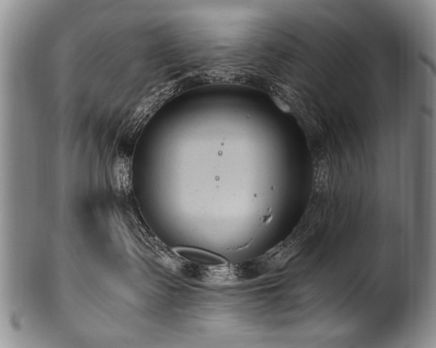 X0000101110335200806261418