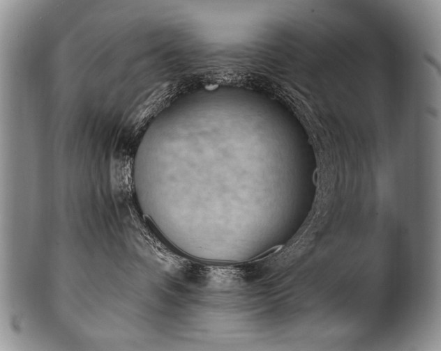 X0000101110336200806261418