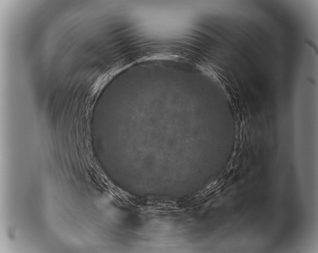 X0000101110337200806261418