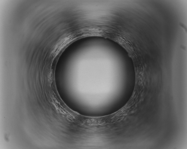 X0000101110338200806261418