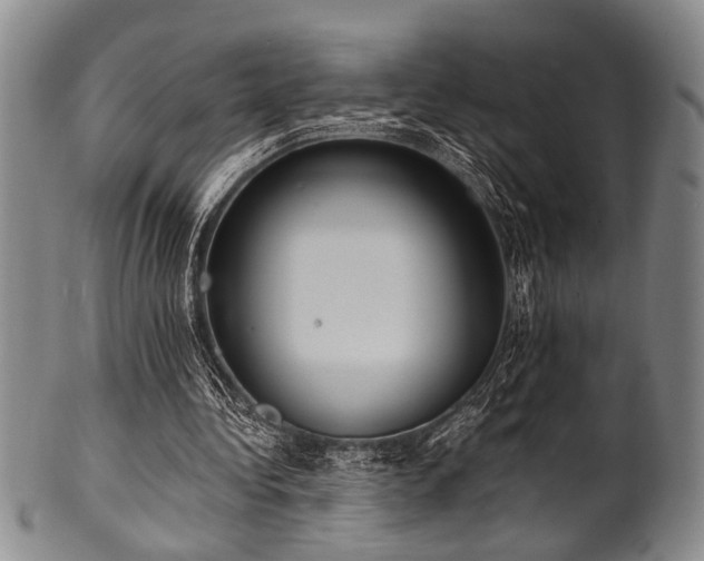 X0000101110340200806261418
