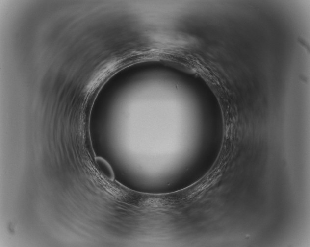 X0000101110341200806261418