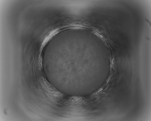 X0000101110343200806261418
