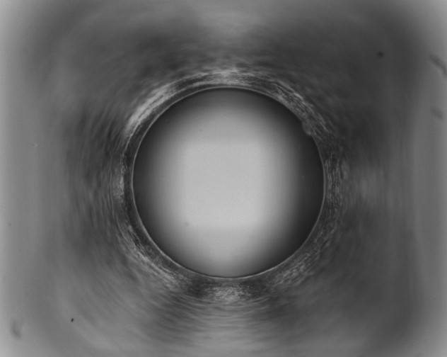 X0000101110344200806261418