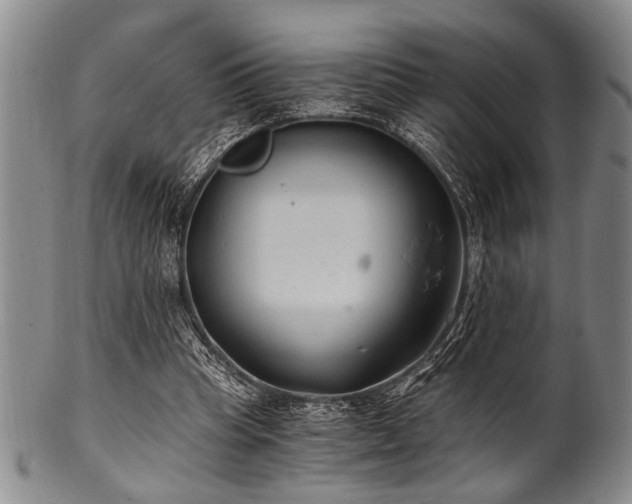 X0000101110345200806261418