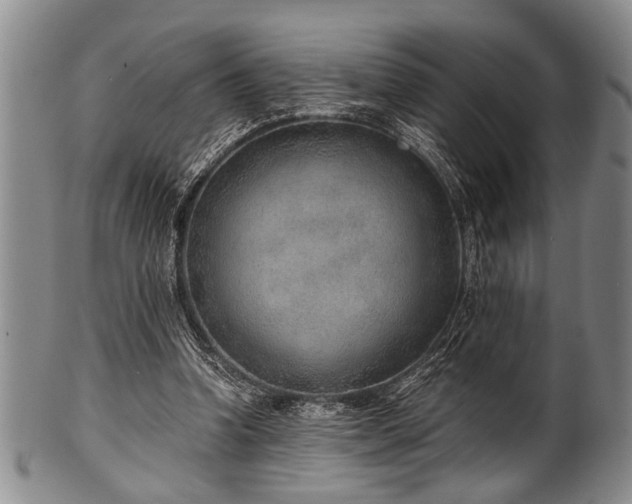 X0000101110346200806261418