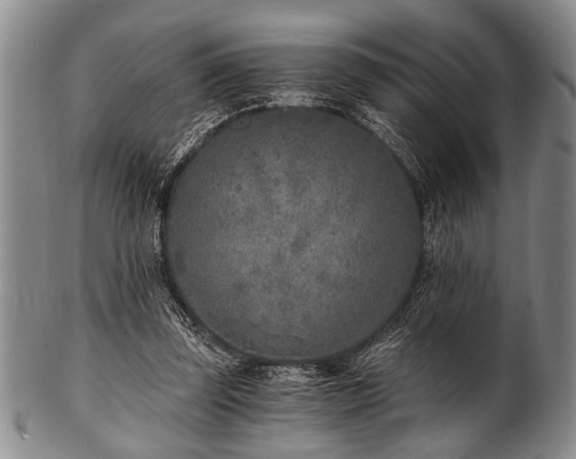 X0000101110347200806261418