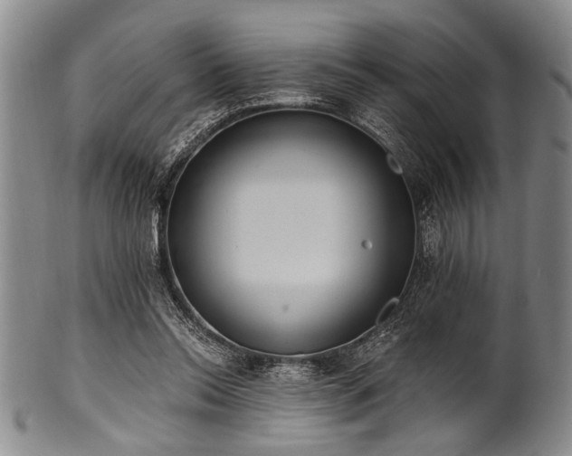 X0000101110350200806261418