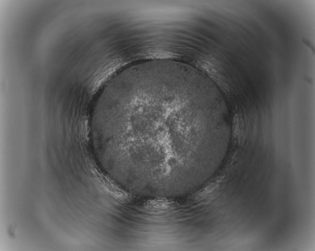X0000101110351200806261418