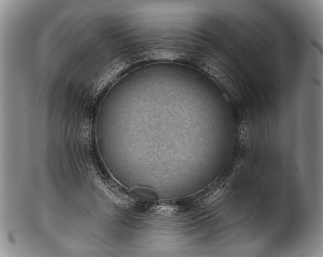 X0000101110352200806261418