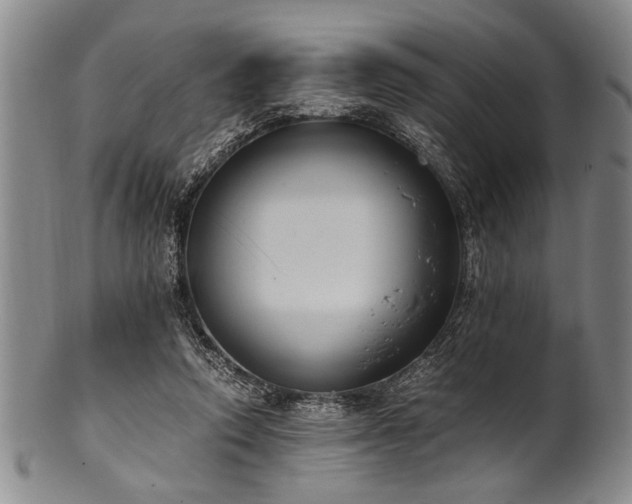 X0000101110354200806261418
