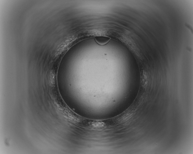X0000101110355200806261418
