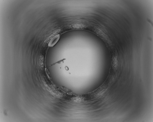 X0000101110356200806261418