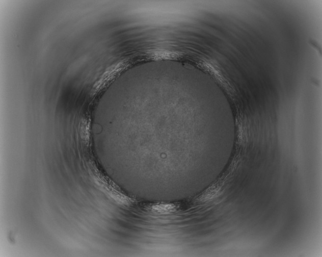 X0000101110357200806261418