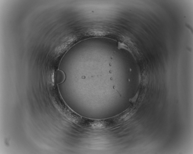 X0000101110358200806261418