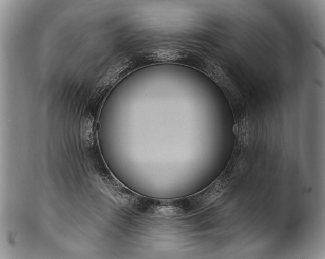 X0000101110360200806261418