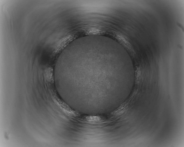 X0000101110361200806261418