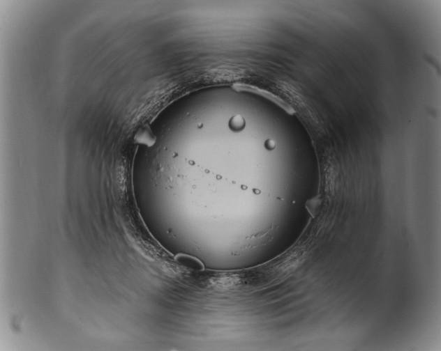 X0000101110362200806261418