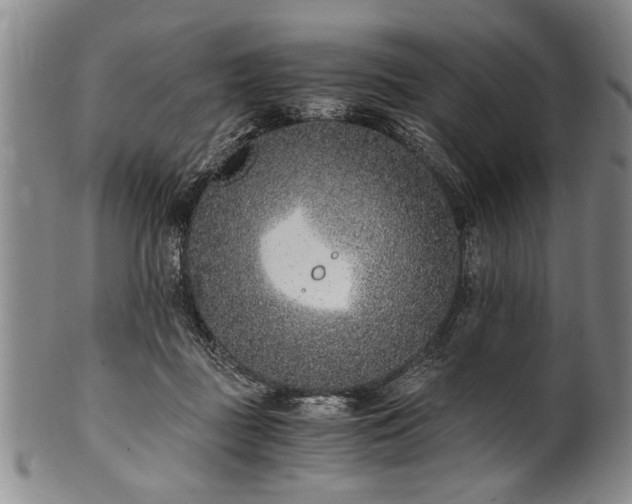 X0000101110363200806261418