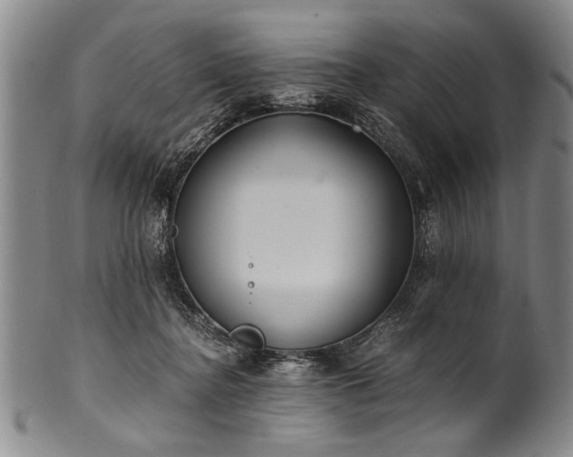 X0000101110364200806261418