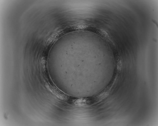 X0000101110366200806261418