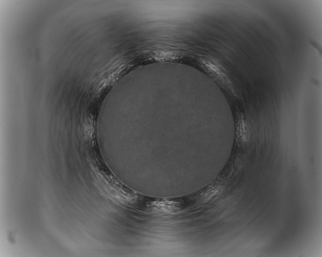 X0000101110367200806261418