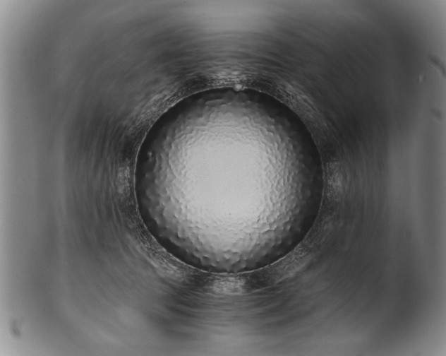 X0000101110369200806261418