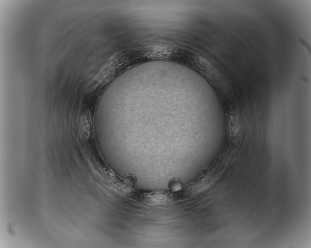 X0000101110370200806261418