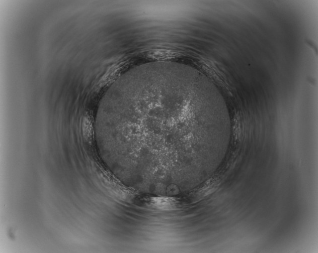 X0000101110371200806261418