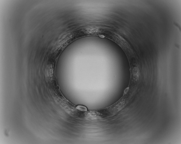X0000101110372200806261418