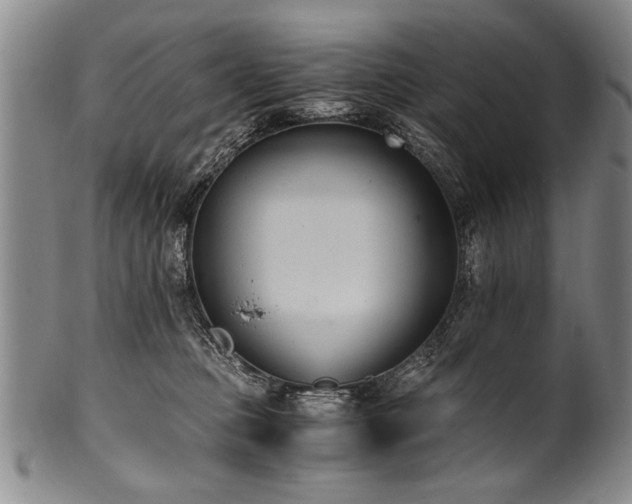 X0000101110373200806261418