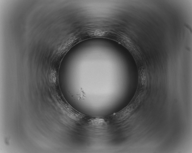 X0000101110374200806261418