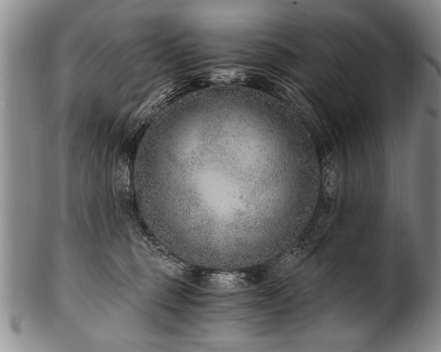 X0000101110375200806261418