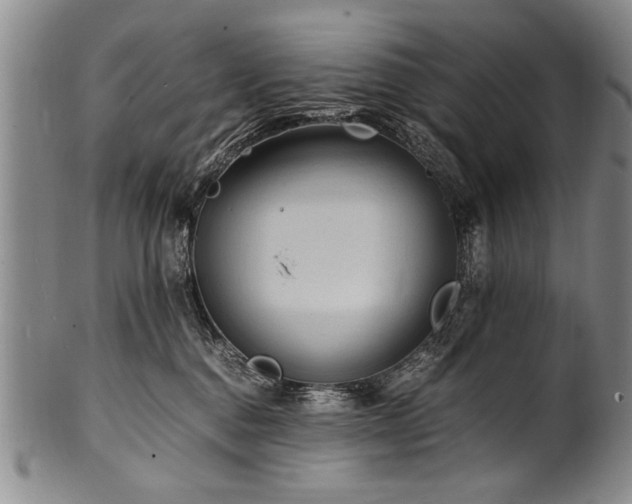 X0000101110376200806261418