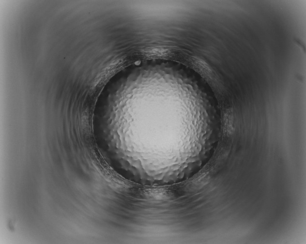 X0000101110377200806261418