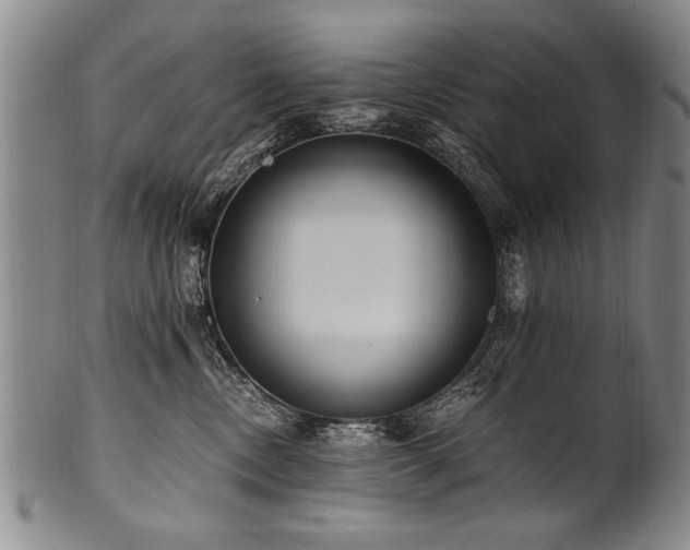 X0000101110378200806261418