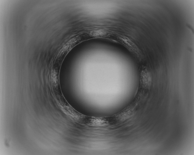 X0000101110380200806261418